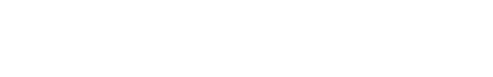 net pay advance logo